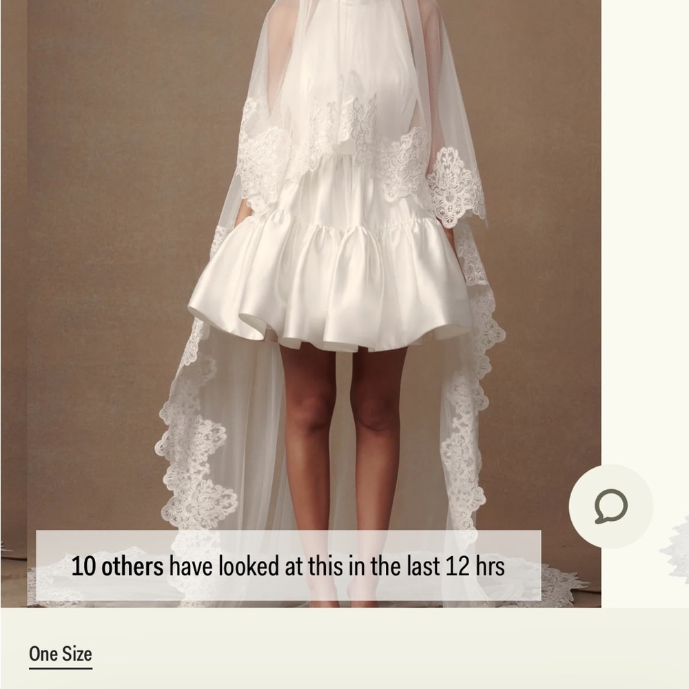 Chantilly lace cathedral veil with blusher